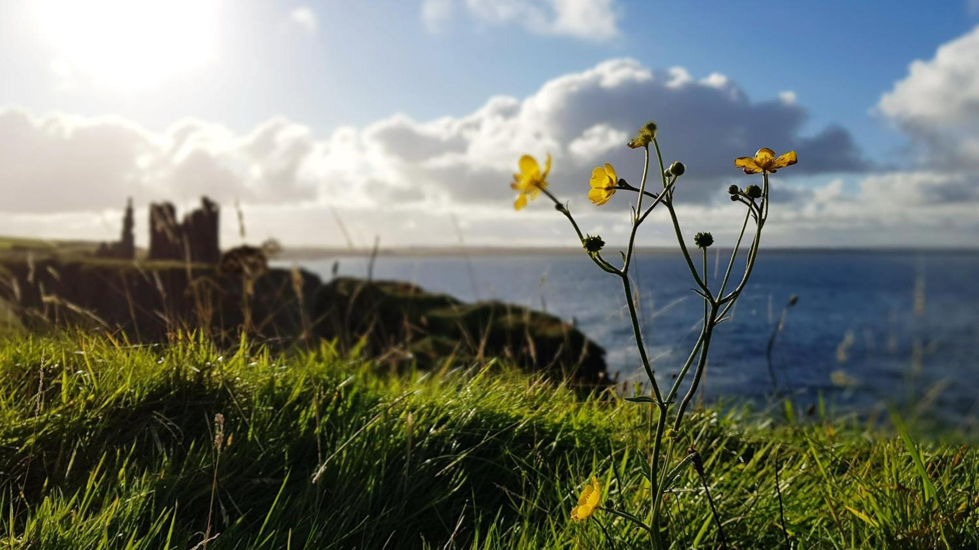 Self-Catering Lighthouse Keeper'S Cottage On The Nc500 Уик Экстерьер фото